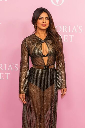 Priyanka Chopra Nude Leaks OnlyFans Photo 16