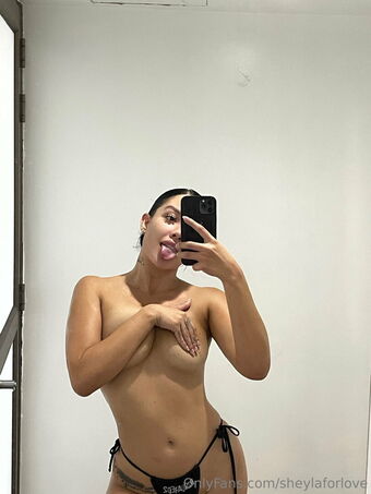 sheylaj Nude Leaks OnlyFans Photo 16