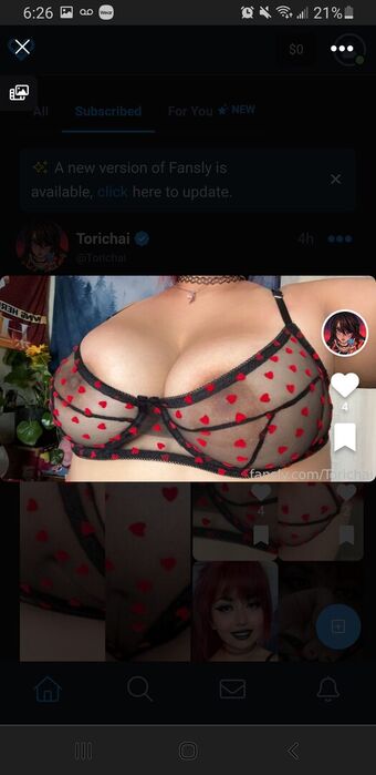 Torichai Nude Leaks OnlyFans Photo 13