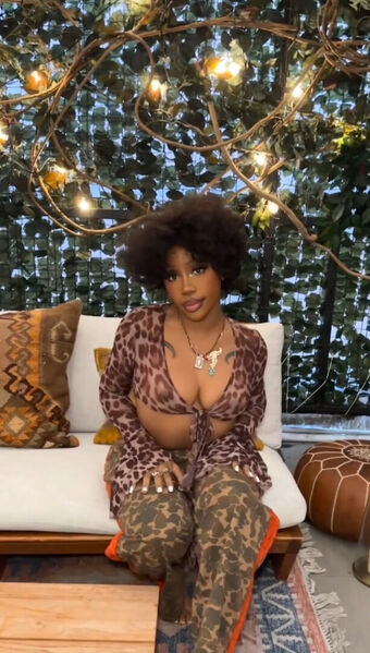 SZA Nude Leaks OnlyFans Photo 53