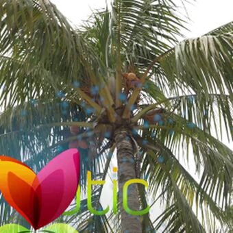 Kira Perez Nude Leaks OnlyFans Photo 125