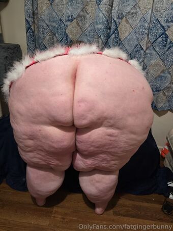 fatgingerbunny Nude Leaks OnlyFans Photo 14