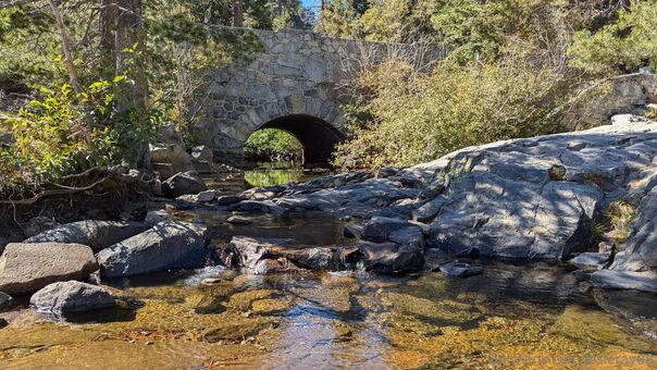 josieray88 Nude Leaks OnlyFans Photo 19