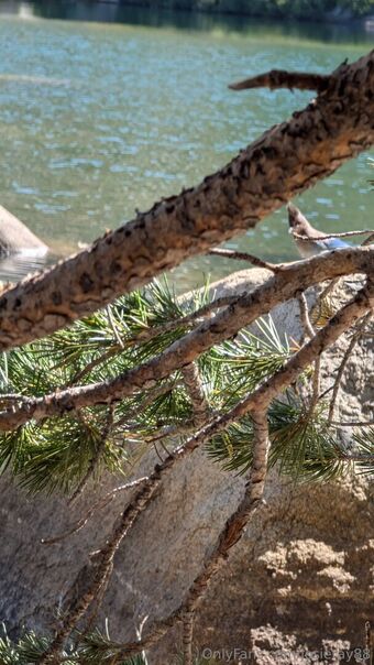 josieray88 Nude Leaks OnlyFans Photo 11