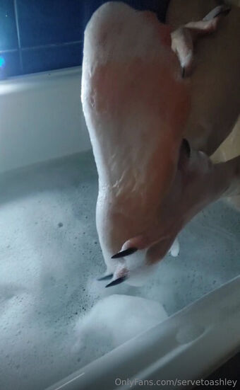 servetoashley Nude Leaks OnlyFans Photo 13