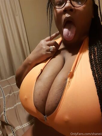 shaneii Nude Leaks OnlyFans Photo 29