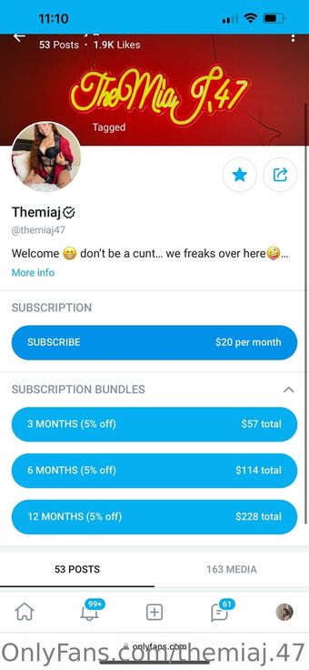 themiaj.47 Nude Leaks OnlyFans Photo 19