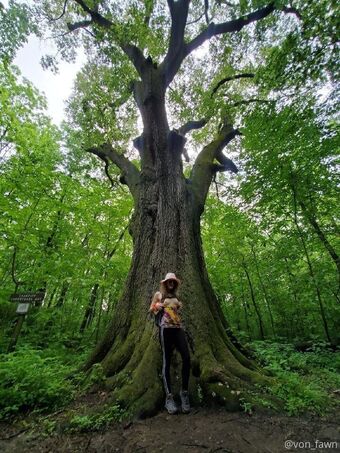 vonfawn Nude Leaks OnlyFans Photo 19