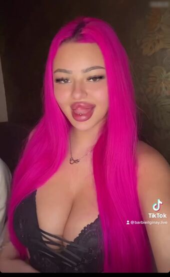 Barbie ilginay Nude Leaks OnlyFans Photo 33
