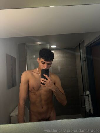 brandoncardoso Nude Leaks OnlyFans Photo 6
