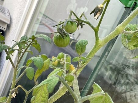 caseykissesxoxo Nude Leaks OnlyFans Photo 96