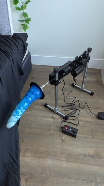 catexclusive Nude Leaks OnlyFans Photo 44