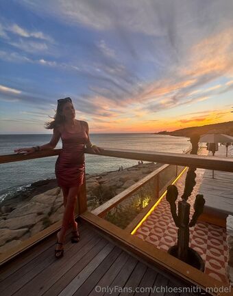 chloesmith_model Nude Leaks OnlyFans Photo 29