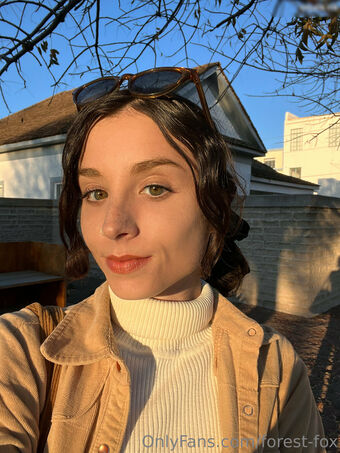 Forest-fox Nude Leaks OnlyFans Photo 131