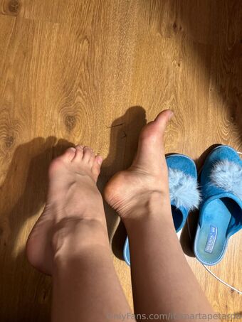 itsmartapetarda Nude Leaks OnlyFans Photo 11