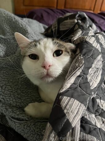 holyheck Nude Leaks OnlyFans Photo 90