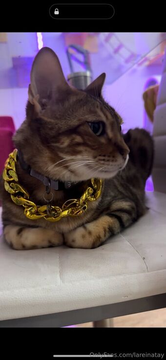 lareinatay Nude Leaks OnlyFans Photo 15