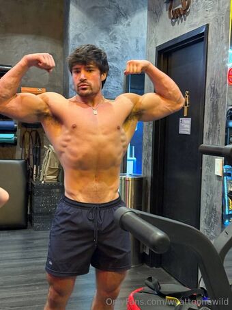 wyattgonewild Nude Leaks OnlyFans Photo 5