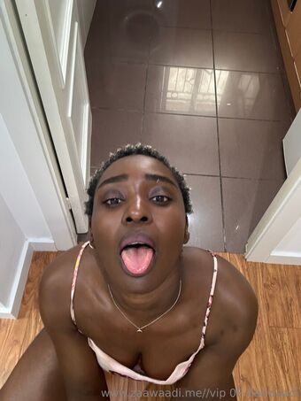 zaawaaditv Nude Leaks OnlyFans Photo 52